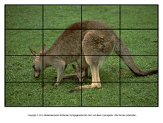 Puzzle-Känguru-1.pdf